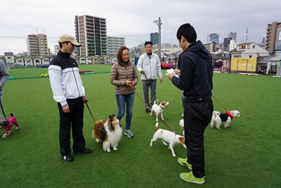 2017春運動会 (11)