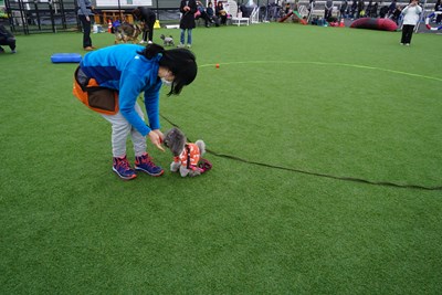 2017春運動会 (8)