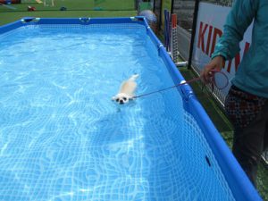 s-IMG_0878